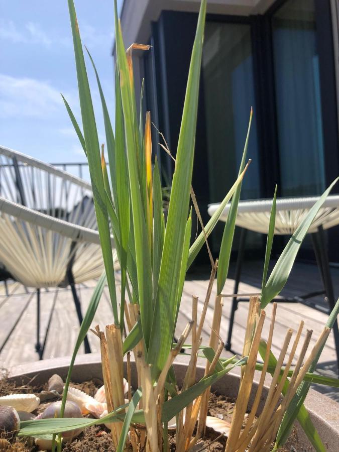 Penthouse Nordernice Norderney Exterior foto